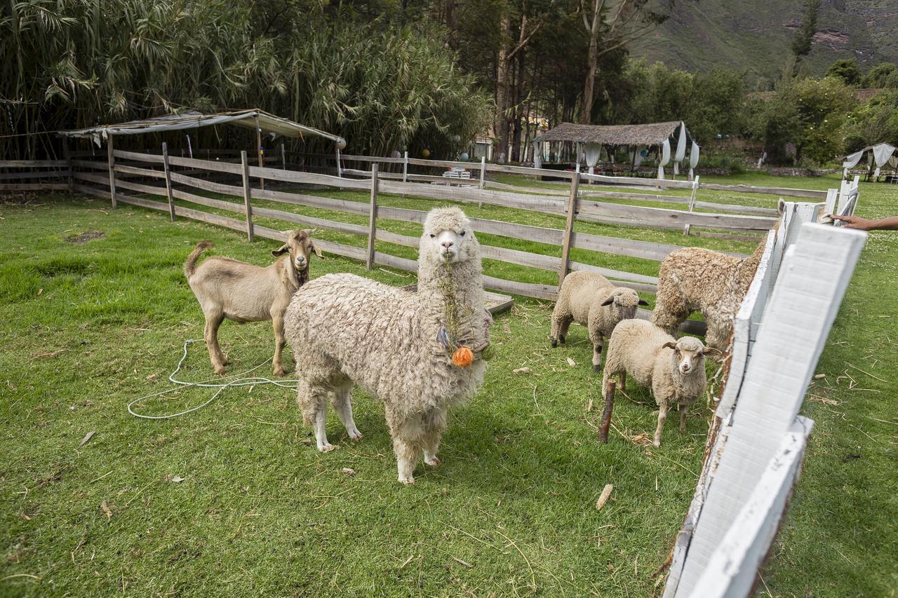 The Sacred Valley Lodge - Hotel Cusco Yucay Eksteriør billede